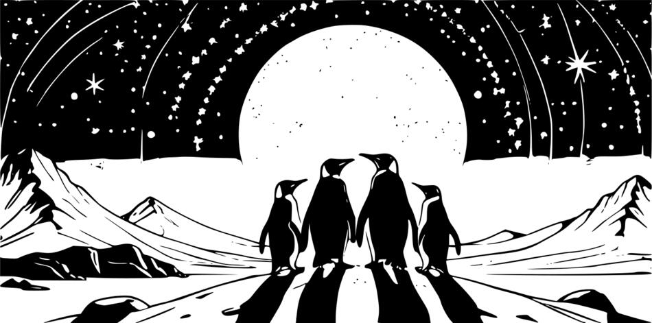 Malbuch Pinguine unter den Sternen (Horizontal)
