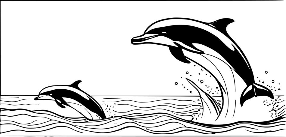 Розмальовка Дельфіни плавають (Горизонтальний)