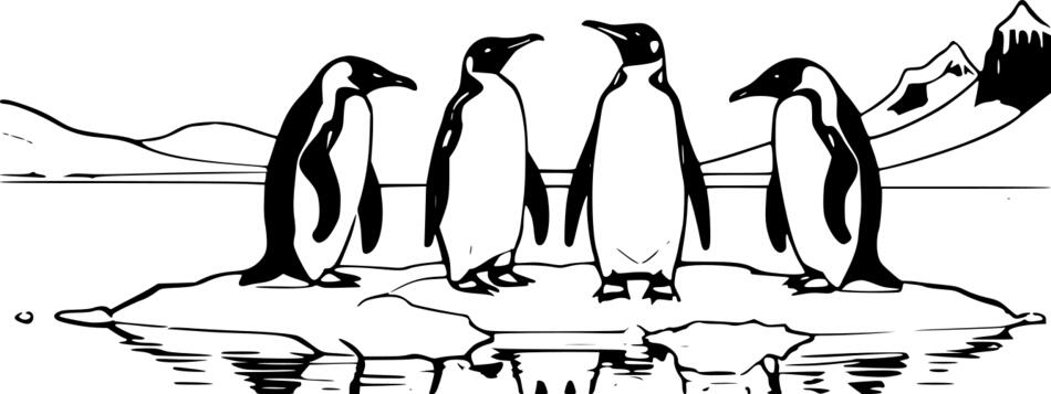 Malbuch Pinguine auf einer Eisscholle (Horizontal)