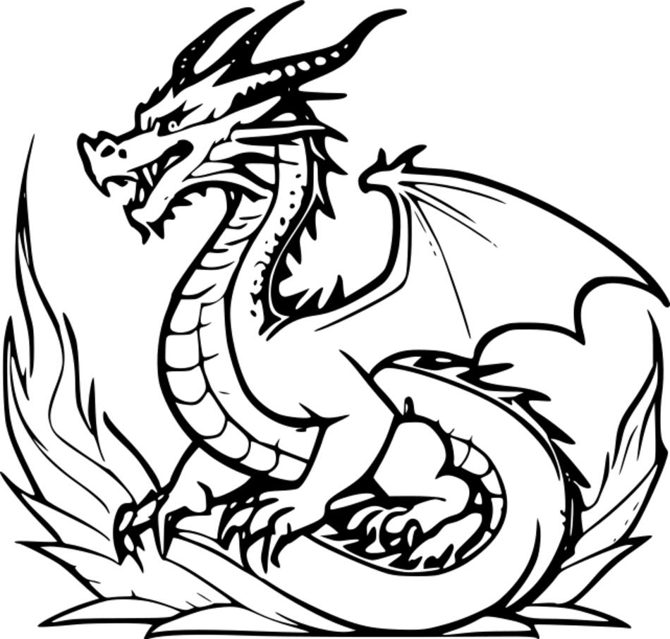 Livre de coloriage Feu du dragon (Carré)