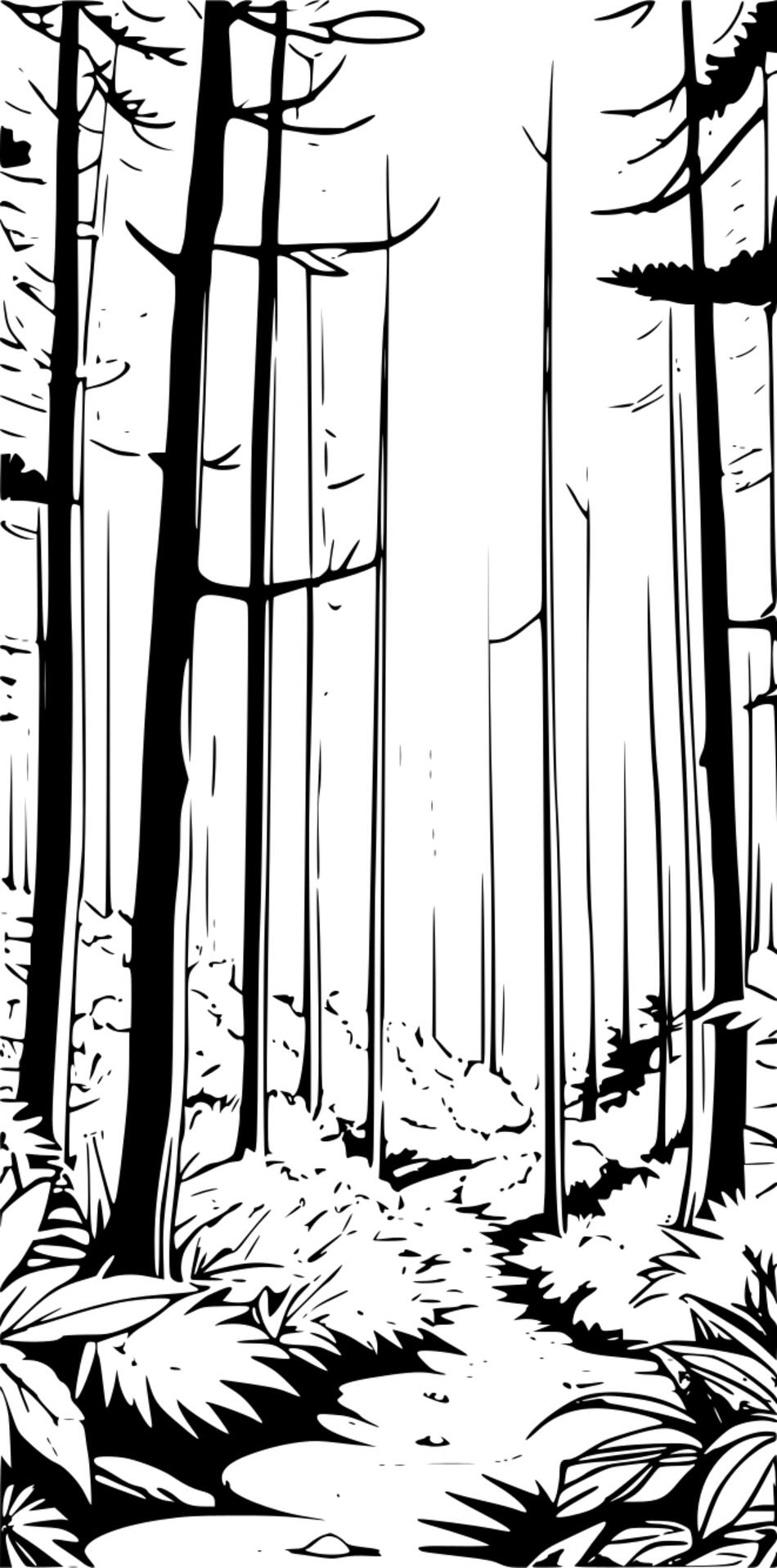 Coloring book Dense forests (Vertical)
