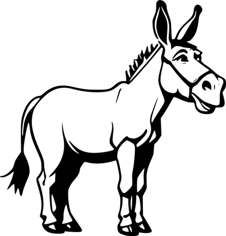 Coloring book Donkey from 