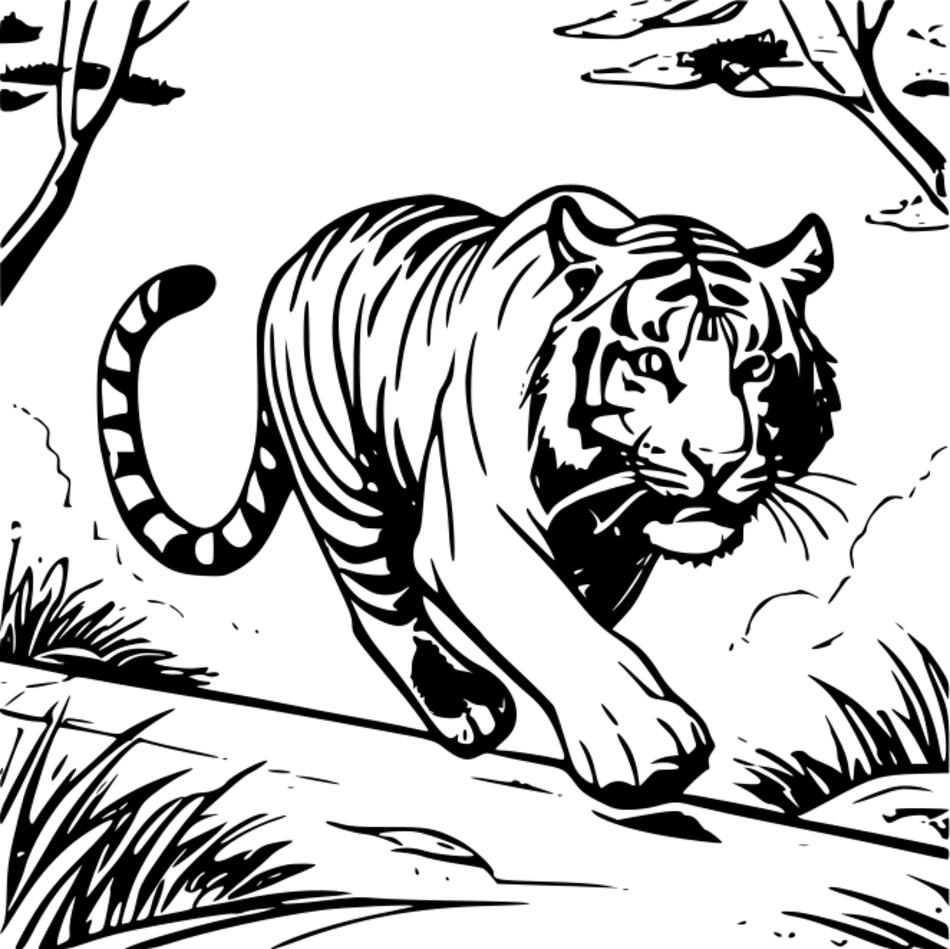 Раскраска Тигр бежит (Квадрат)
