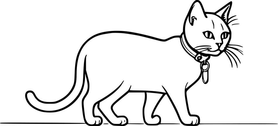 Розмальовка Кіт у нашийнику (Горизонтальний)