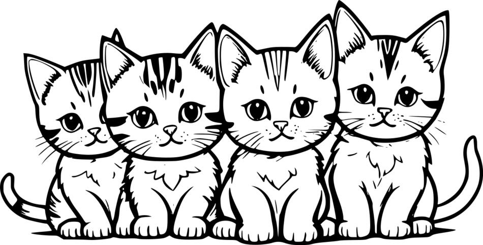 Раскраска Смешные котята (Горизонтальный)